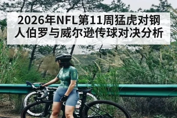 2026年NFL第11周猛虎对钢人伯罗与威尔逊传球对决分析